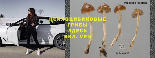 спиды Дмитров