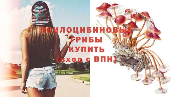 спиды Дмитров