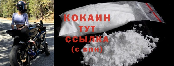 первитин Гусев